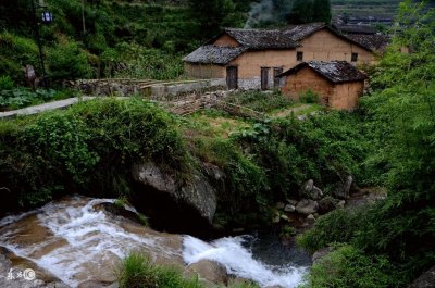 修行1000多年的九尾灵猫,却只长了8条尾巴!