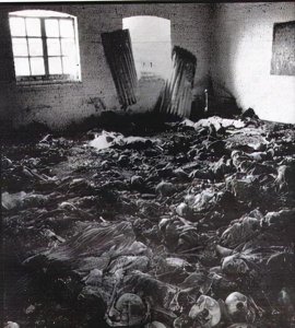 人间悲剧:卢旺达大屠杀