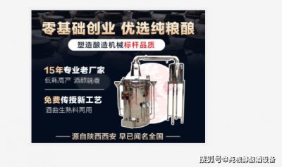 酿酒设备多少钱一套?太贵了............