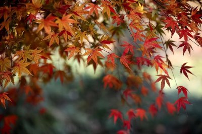 人活一辈子,到底为了啥?