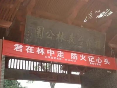 楼观台国家森林公园