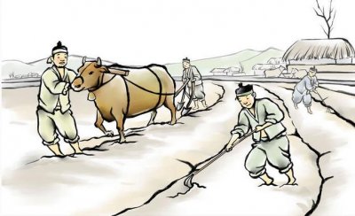 什么是小农经济