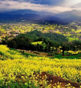 《诗经·大雅·旱麓》为证,名句"鸢飞戾天,鱼跃于渊"即出于此山