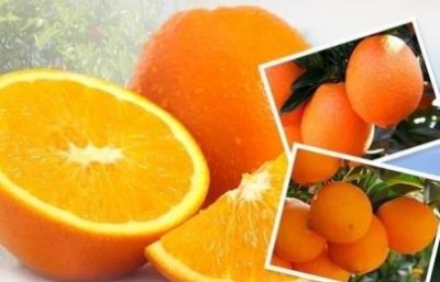 土豆做薯条的简单做法