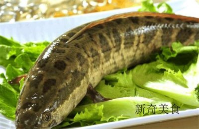 地锅鱼最正宗的做法,隔三差五吃,好吃的停不下来!