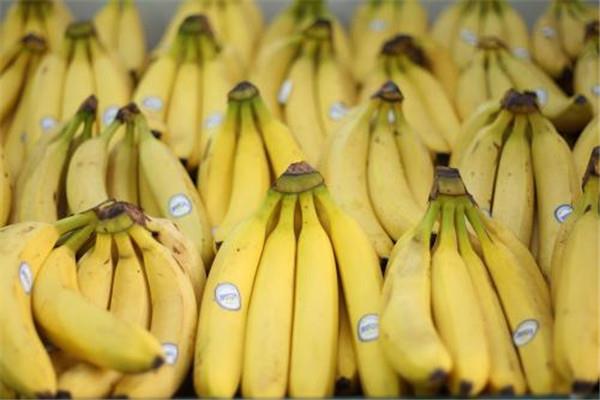 香蕉豆浆能一起吃是真的吗? 香蕉和豆浆一起吃的功效有哪些