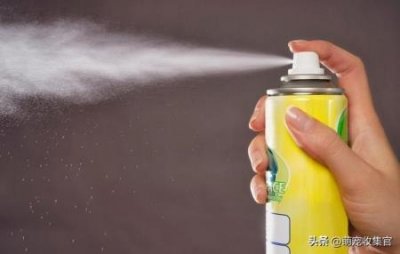 猫瘟晚期的症状猫瘟的早期症状