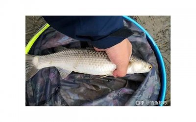 男朋友说我只适合结婚不适合恋爱