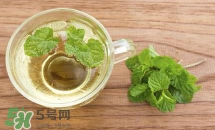 薄荷叶能生吃吗?薄荷叶可以生吃吗 薄荷叶能生吃吗?薄荷叶可以生吃吗