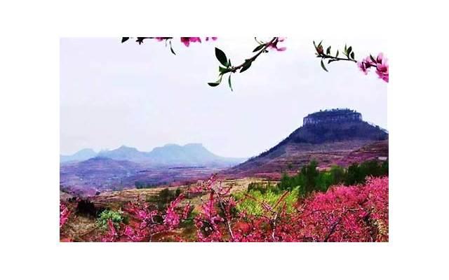 断联多久男人不找你说明结束了(真正爱你的男人,能忍住多久不来找你) 断联多久男人不找你说明结束了(真正爱你的男人,能忍住多久不来找你)