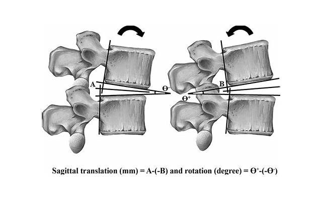 白羊座几号出生的最傻(凭啥说白羊座是12星座里最傻的人) 白羊座几号出生的最傻(凭啥说白羊座是12星座里最傻的人)