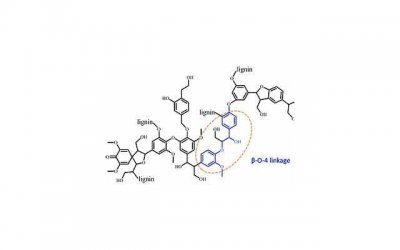 女生说刚睡醒怎么回复怎么撩?如何才能撩到她