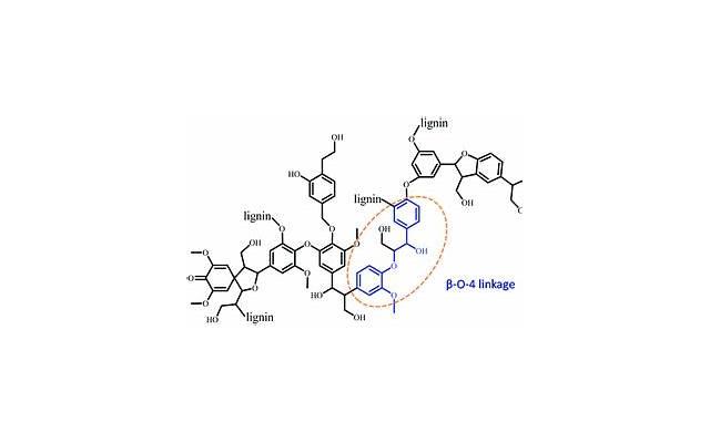 女生说刚睡醒怎么回复怎么撩？如何才能撩到她