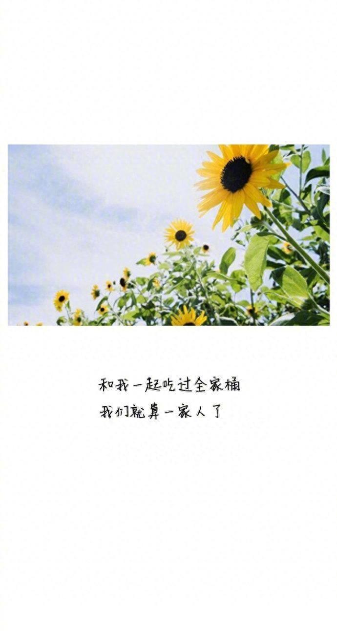 不要羡慕贾乃亮的土味情话了,拿走不谢