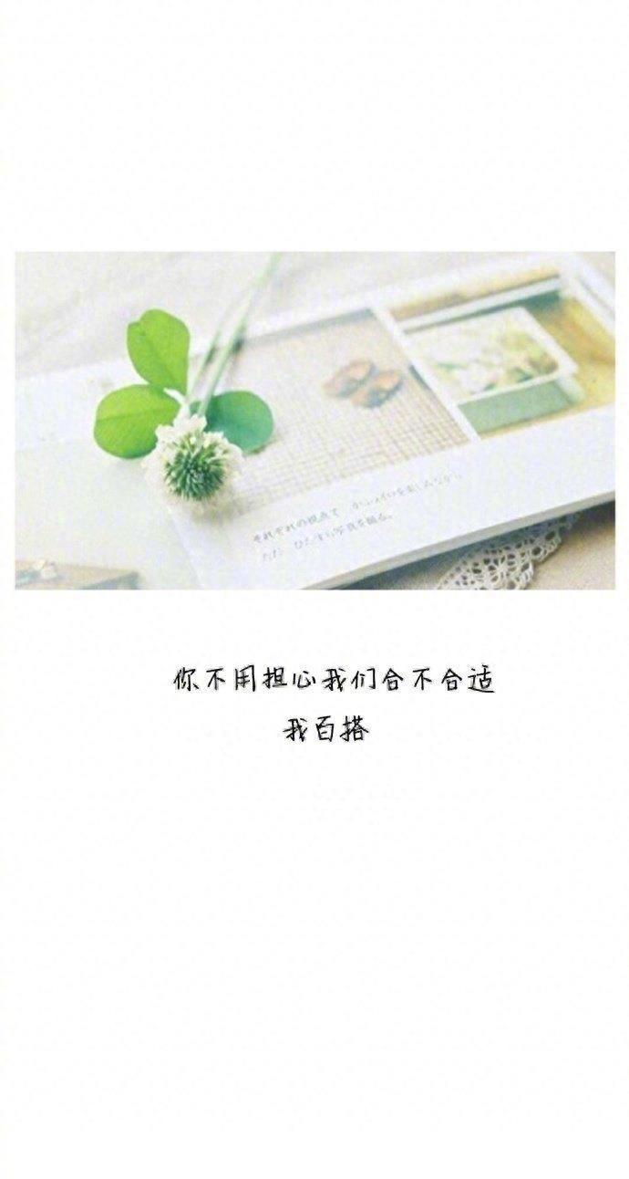 不要羡慕贾乃亮的土味情话了,拿走不谢