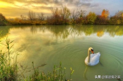 就在那一分钟,或许下一分钟