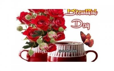 夫妻冷战吵架不断 婚姻生活如何继续