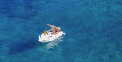 碧池是什么意思 骂人的文艺用词