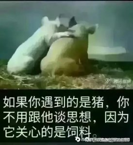 斗图表情大集合