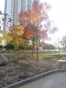 信用卡小知识芯片卡磁条卡的区别