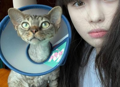 老婆和别人出轨了,我该怎么处理,老婆出轨了,该如何处理?