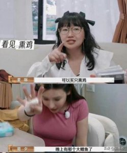 《再见爱人》第四季:黄圣依杨子与葛夕留几手的婚姻危机揭秘