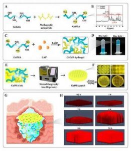 美国人与动物胶配方有几种:揭秘胶的神奇配方与环保玄机!