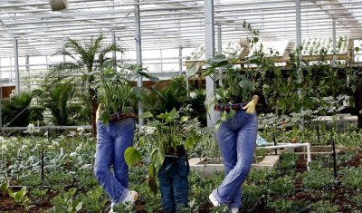 ​现代农业最佳项目