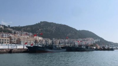 ​青岛开海了 螃蟹、虾虎、八带等最新海鲜价格来了