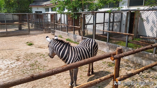 洛阳王城动物园，豫西地区最大的动物园
