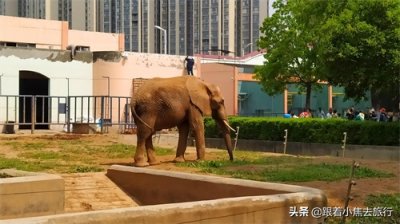 ​洛阳王城动物园，豫西地区最大的动物园