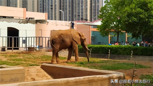 洛阳王城动物园，豫西地区最大的动物园