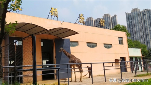 洛阳王城动物园，豫西地区最大的动物园