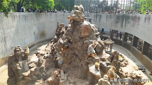 洛阳王城动物园，豫西地区最大的动物园