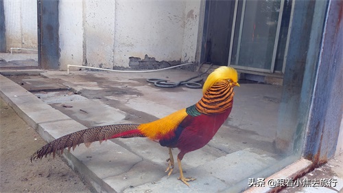 洛阳王城动物园，豫西地区最大的动物园