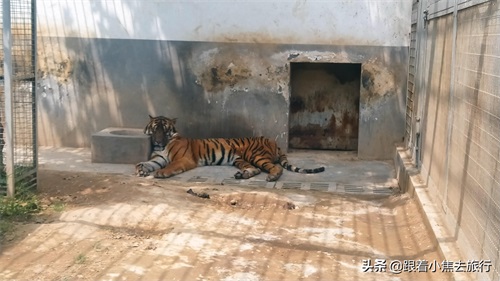 洛阳王城动物园，豫西地区最大的动物园