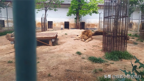 洛阳王城动物园，豫西地区最大的动物园