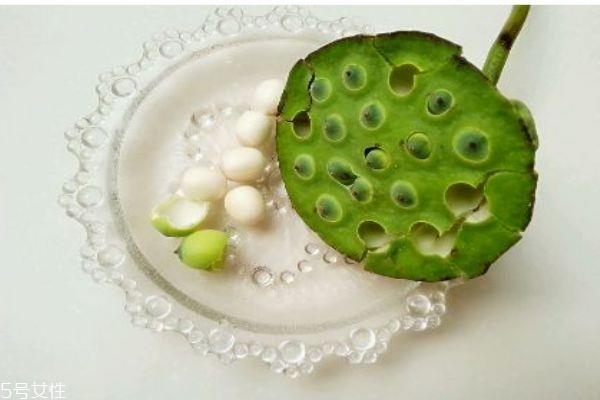 莲蓬生长在水里吗 莲蓬一般什么季节成熟呢 莲蓬生长在水里吗 莲蓬一般什么季节成熟呢