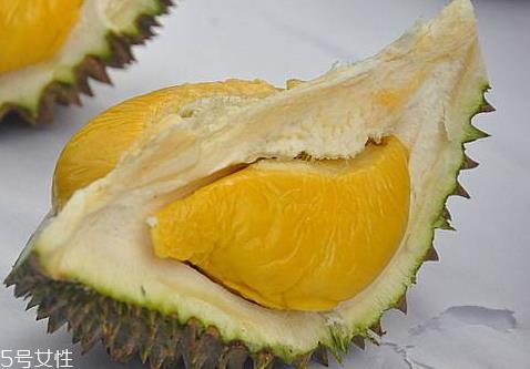 马来西亚榴莲是几月 马来西亚榴莲成熟时间 马来西亚榴莲是几月 马来西亚榴莲成熟时间