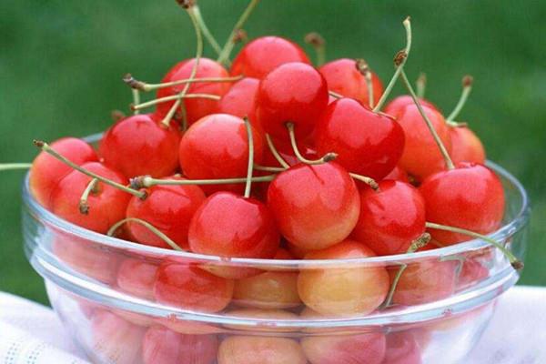 樱桃是什么味道 樱桃吃了会上火吗