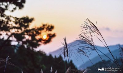 星座解析:为什么那么多人说水瓶座渣?