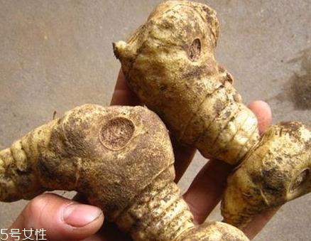 黄精多少钱一斤 黄精的大小和品质决定 黄精多少钱一斤 黄精的大小和品质决定