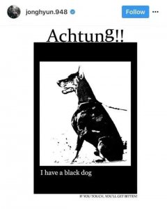 ​朴树演唱会情不自禁大哭 抑郁症：今年冬天最强“流行病”