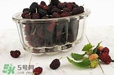 自制桑葚酒的危害_自制桑葚酒有毒吗 自制桑葚酒的危害_自制桑葚酒有毒吗