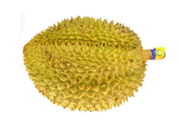 榴莲盛产于哪里 榴莲是几月份的水果 榴莲盛产于哪里 榴莲是几月份的水果