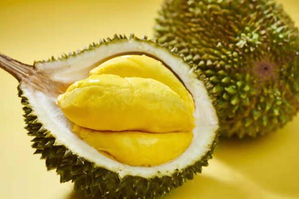 榴莲盛产于哪里 榴莲是几月份的水果 榴莲盛产于哪里 榴莲是几月份的水果