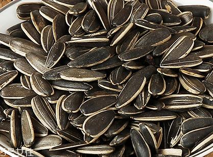 葵瓜子壳能吃吗?葵瓜子壳吃了会怎样? 葵瓜子壳能吃吗?葵瓜子壳吃了会怎样?