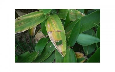 给老婆挽回,如何挽回妻子的心?