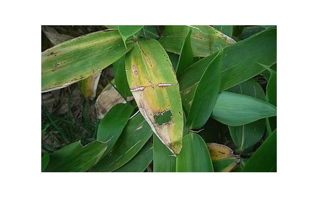 给老婆挽回,如何挽回妻子的心? 给老婆挽回,如何挽回妻子的心?