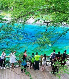 公园内免费观赏老年风尚:独一无二的景色